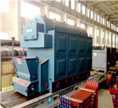 providing high temperature & stable steam industrial 