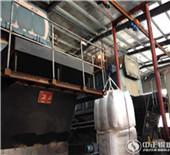 biomass powered boiler | product