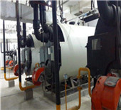 horizontal style and steam output boiler - unic.co.in