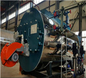 wns gas fired steam boiler – industrial boiler