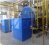 gas fired steam boiler for edible oil refinery plant