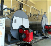 automatic duel fuel gas & diesel boiler steam boiler 