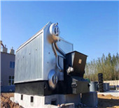 dzl series horizontal boiler - stong-boiler