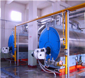 biomass pellet fired water tube steam boiler
