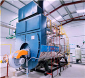 8 ton biomass fired boiler for city heating in russia