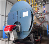 dzl series horizontal boiler - stong-boiler
