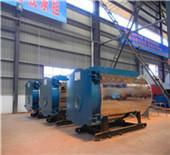 biomass hot water boiler for 12 000 square heating area