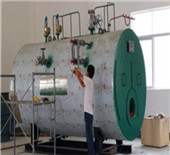 12000 square meters biomass fired hot water boiler