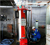 horizontal biomass fired hot water boilers - …