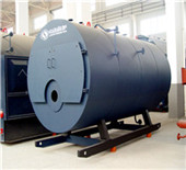 biomass fired tube boiler | horizontal gas boilers 