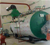 horizontal straight tube boiler for food industry