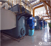 horizontal biomass pellet boiler