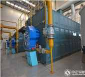 4 ton ldo fired boiler