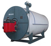 biomass fired boiler - zhong ding boiler co., ltd.