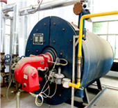 vertical flue two drum boiler in thermal power plant