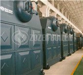 reasonable price coal fired dzl boiler | thermal oil 