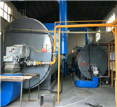 automatic biomass particles hot water boiler - …