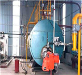 energy saving boilers for architectural material industry