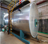 industrial usage professinal biomass boiler