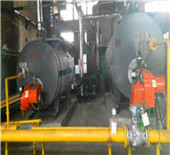 low pressure steam boiler manufacturers & suppliers