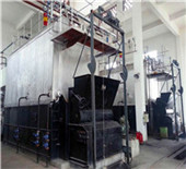 dzh wood burning steam boiler biomass furnace - …