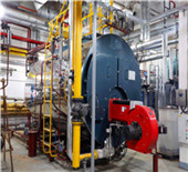 industrial boiler systems | hurst boiler - biomass boilers