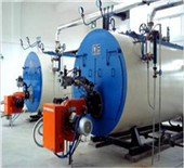 horizontal industrial heavy oil boiler | sitong biomass 
