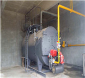 china oil, gas fired horizontal hot water boiler - …