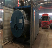 5 ton gas fired steam boiler suppliers indonesia