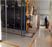 vertical flue boiler for aquaculture industry-zozen boiler