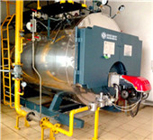 gas & steam boiler