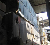 biomass fired boiler, biomass steam/hot water boiler …