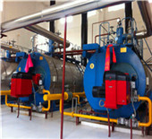 china green electric steam boiler for food industry 