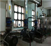 upgrading of a heating plant in central heating system