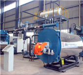 china steam boiler for alcohol distillation 500kg/hr 