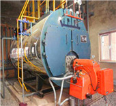 china dzl chain grate coal fired steam boiler - china 